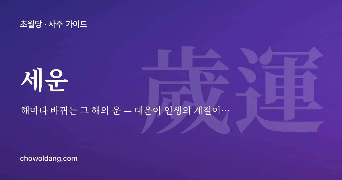세운(歲運) — 해마다 바뀌는 그 해의 운 — 대운이 인생의 계절이라면, 세운은 올해의 날씨입니다.
